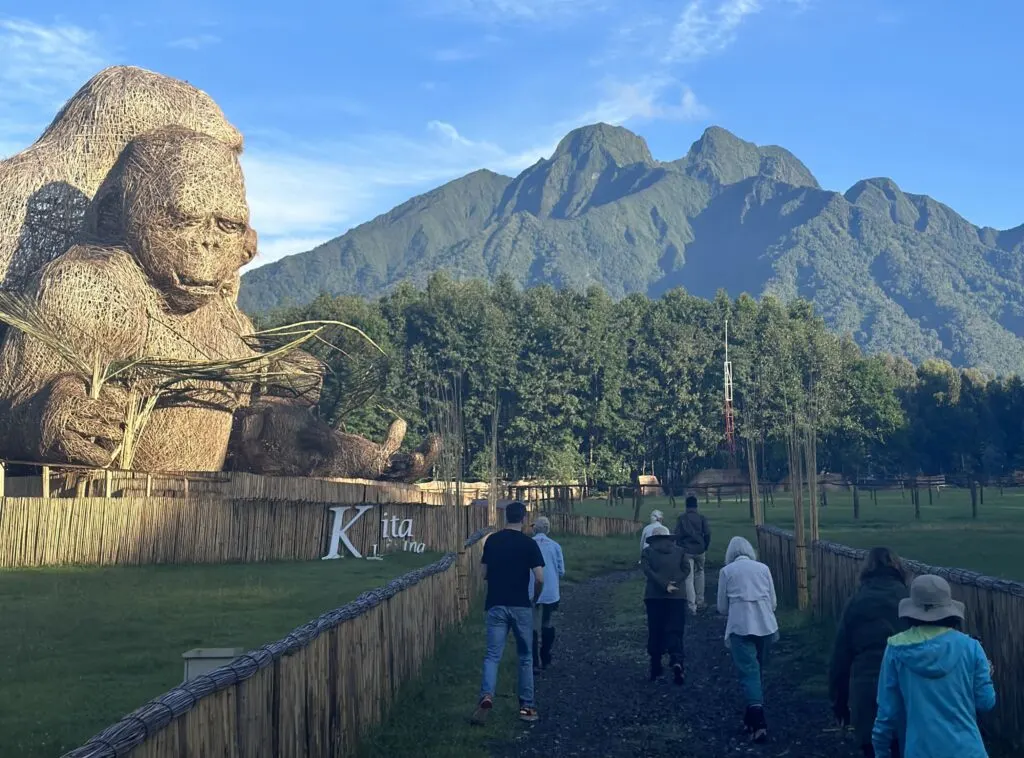 Golden Monkey Trekking in Rwanda | Stay at Isange Paradise Resort
