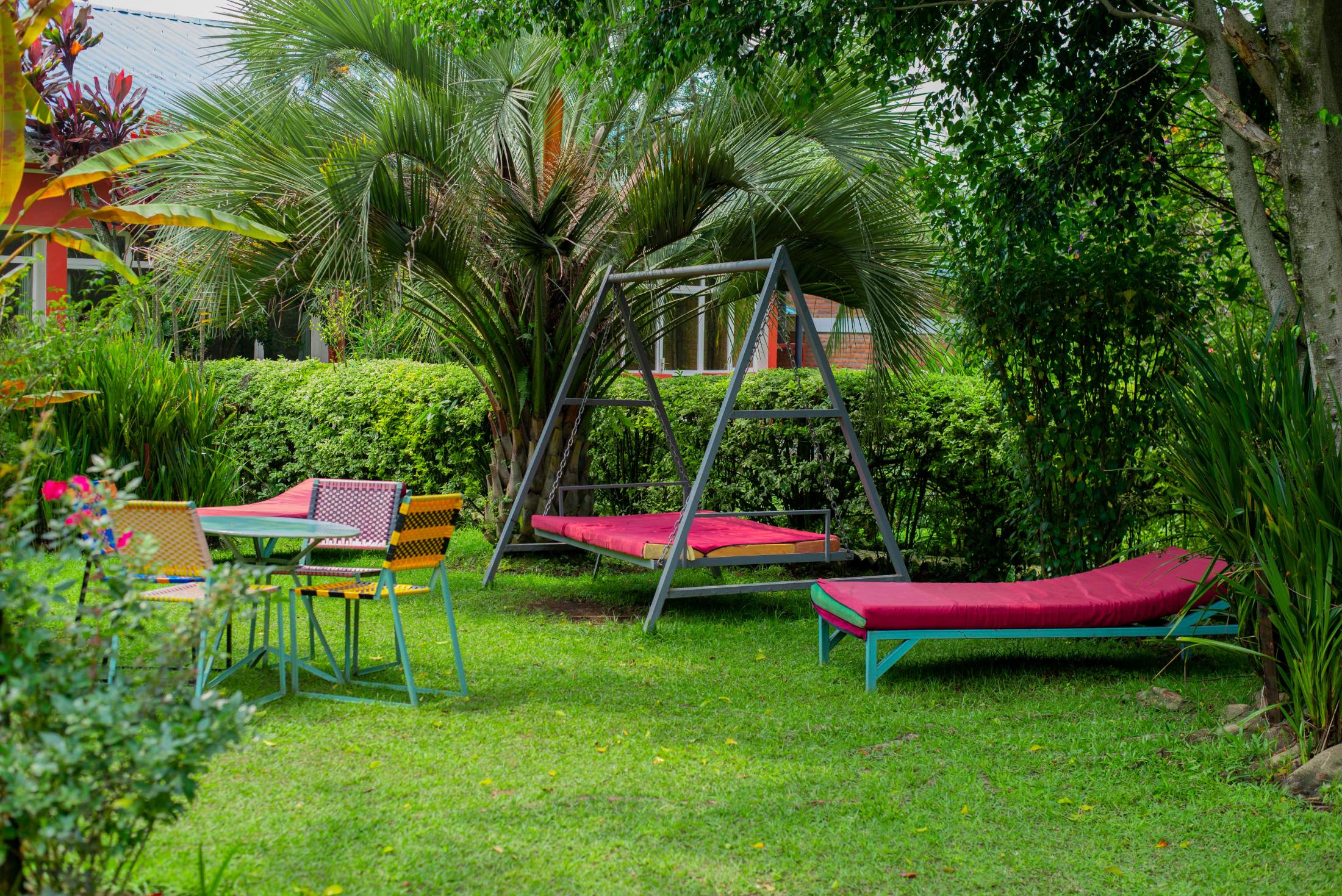Where to Stay for Gorilla Trekking Rwanda